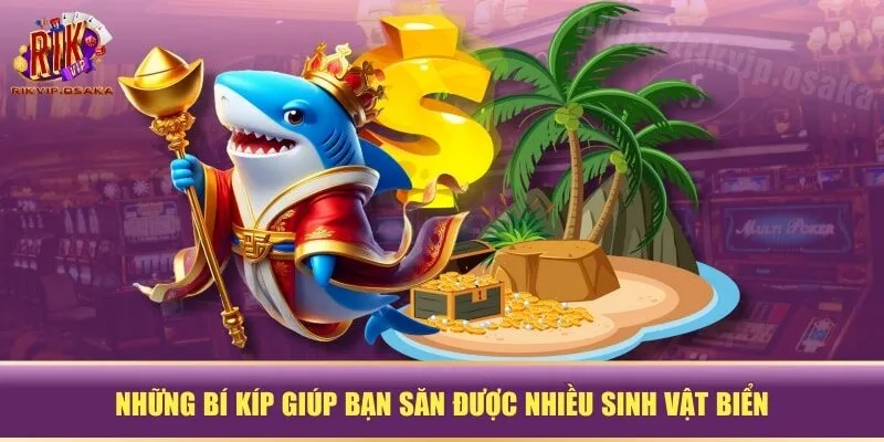 Những bí kíp giúp bạn săn được nhiều sinh vật biển Những bí kíp giúp bạn săn được nhiều sinh vật biển