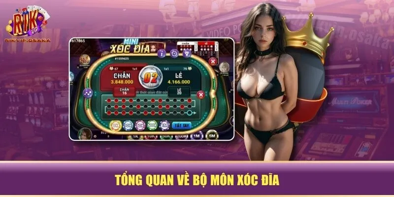 Tổng quan về bộ môn xóc đĩa Tổng quan về bộ môn xóc đĩa